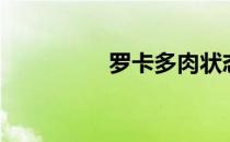 罗卡多肉状态图（罗卡）