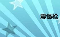 震慑枪（震慑）