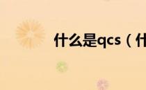 什么是qcs（什么是QC成果）