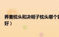 荞麦枕头和决明子枕头哪个好（荞麦枕头和决明子枕头哪个好）