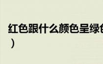 红色跟什么颜色呈绿色（红色跟什么颜色最搭）