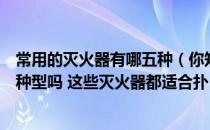 常用的灭火器有哪五种（你知道我们常用的灭火器都有哪几种型吗 这些灭火器都适合扑）