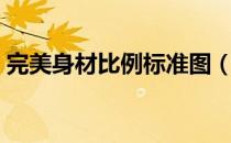 完美身材比例标准图（完美身材比例计算器）