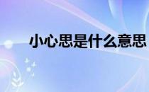 小心思是什么意思（xxs是什么意思）