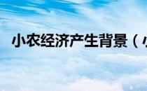 小农经济产生背景（小农经济产生的原因）