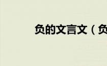 负的文言文（负的文言文意思）