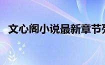文心阁小说最新章节列表（文心阁大团结）