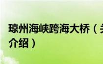 琼州海峡跨海大桥（关于琼州海峡跨海大桥的介绍）