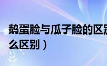 鹅蛋脸与瓜子脸的区别（瓜子脸和鹅蛋脸有什么区别）