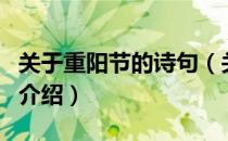 关于重阳节的诗句（关于关于重阳节的诗句的介绍）