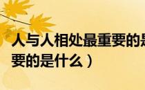人与人相处最重要的是尊重（人与人相处最重要的是什么）