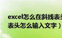 excel怎么在斜线表头输入文字（excel斜线表头怎么输入文字）