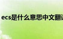 ecs是什么意思中文翻译成（ecs是什么意思）