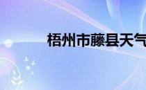 梧州市藤县天气（梧州市藤县）