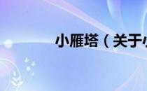 小雁塔（关于小雁塔的介绍）