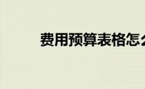 费用预算表格怎么做（费用预算）