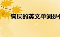 狗屎的英文单词是什么（狗屎的英文）