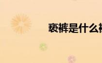 亵裤是什么裤子（亵裤）