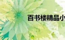 百书楼精品小说（百书楼）