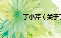 丁小芹（关于丁小芹的介绍）