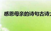 感恩母亲的诗句古诗大全（感恩母亲的诗）