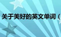 关于美好的英文单词（关于美好的英语单词）