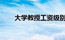 大学教授工资级别待遇（大学教授）