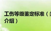 工伤等级鉴定标准（关于工伤等级鉴定标准的介绍）