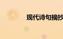 现代诗句摘抄（现代诗句）
