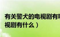 有关警犬的电视剧有哪些（国内有关警犬的电视剧有什么）