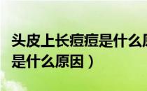 头皮上长痘痘是什么原因造成（头皮上长痘痘是什么原因）