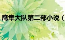 鹰隼大队第二部小说（鹰隼大队第二部续集）