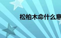 松柏木命什么意思（松柏读音）