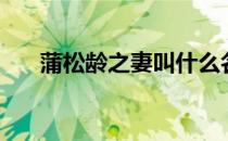 蒲松龄之妻叫什么名字（蒲松龄之妻）