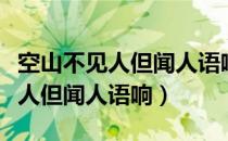 空山不见人但闻人语响用什么手法（空山不见人但闻人语响）
