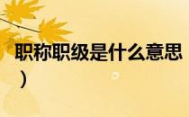 职称职级是什么意思（专业职称员级什么意思）