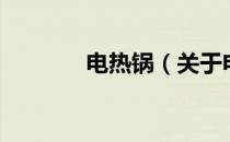 电热锅（关于电热锅的介绍）