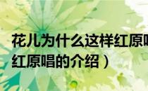 花儿为什么这样红原唱（关于花儿为什么这样红原唱的介绍）