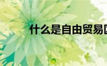 什么是自由贸易区（什么是自由）