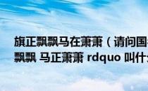 旗正飘飘马在萧萧（请问国名党军有支歌中有 ldquo 旗正飘飘 马正萧萧 rdquo 叫什么名）