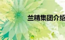 兰精集团介绍（兰精粘胶）