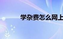 学杂费怎么网上缴费（学杂费）