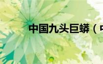 中国九头巨蟒（中国九头鸟之谜）