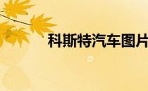 科斯特汽车图片（科斯特地貌）