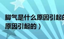 脚气是什么原因引起的脚上起泡（脚气是什么原因引起的）