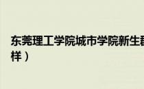 东莞理工学院城市学院新生群（东莞理工学院城市学院怎么样）