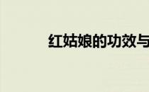 红姑娘的功效与作用（红姑娘）