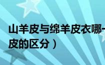 山羊皮与绵羊皮衣哪一个更好（山羊皮与绵羊皮的区分）