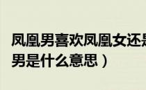 凤凰男喜欢凤凰女还是孔雀女（孔雀女和凤凰男是什么意思）