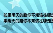 如果明天的路你不知该往哪走是什么歌 做我老婆好不好（如果明天的路你不知该往哪走是什么歌）